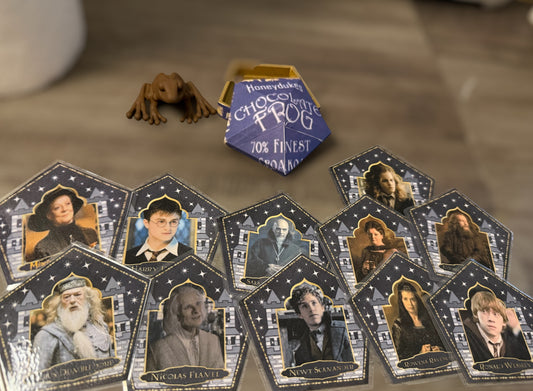 Dark Academia Chocolate Frog Collector’s Set | Wizard card collection